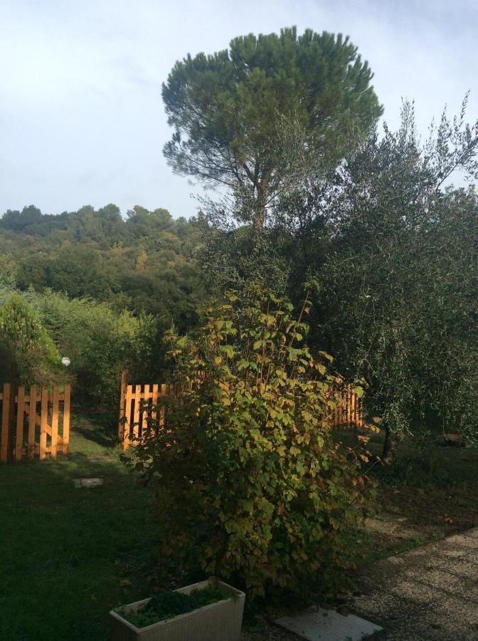 B&B Il Frassino Perugia Bagian luar foto