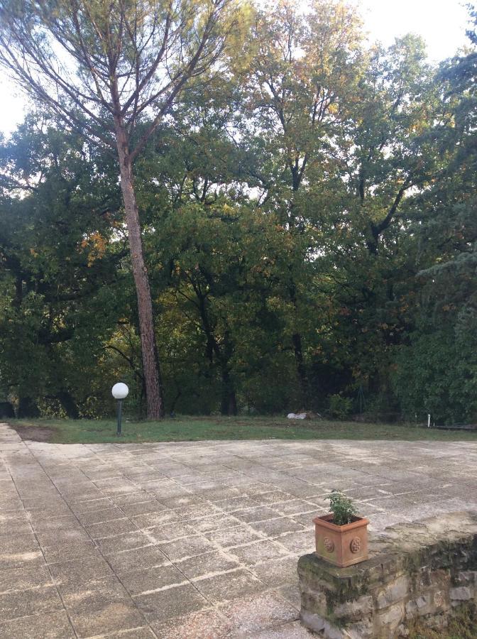 B&B Il Frassino Perugia Bagian luar foto