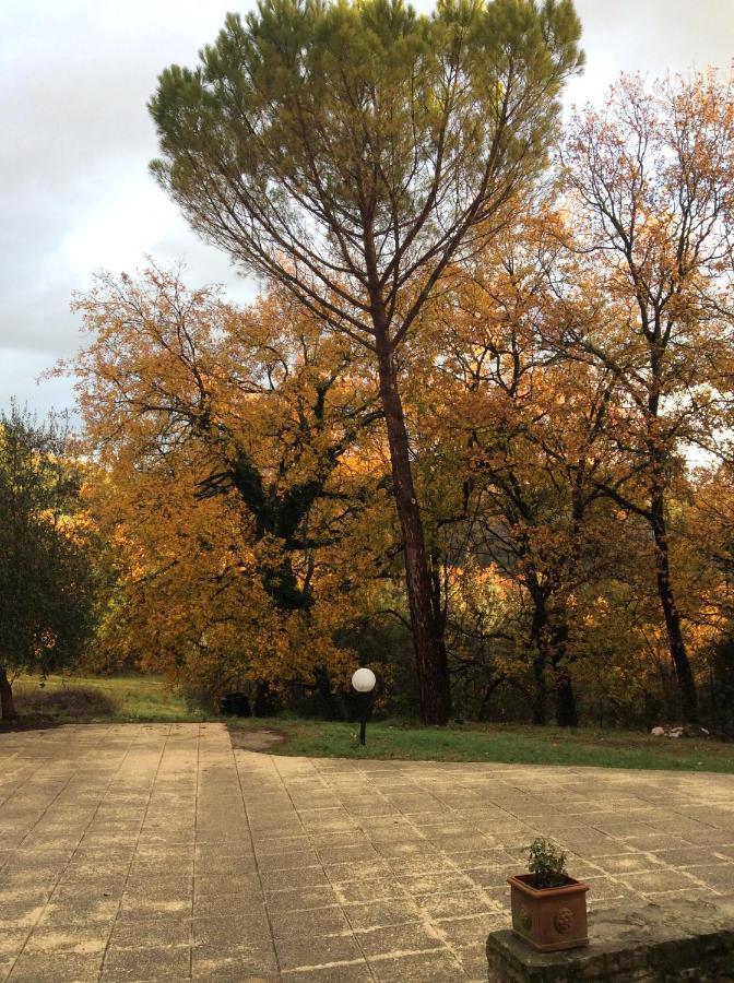 B&B Il Frassino Perugia Bagian luar foto