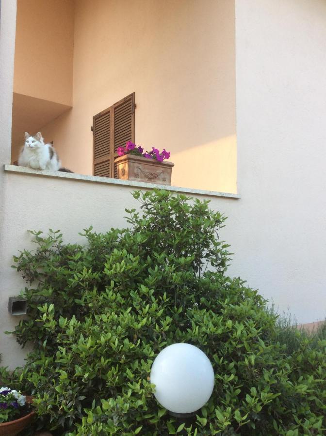 B&B Il Frassino Perugia Bagian luar foto