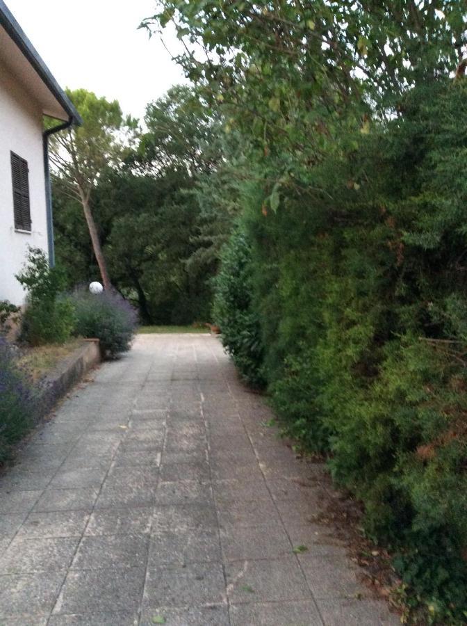 B&B Il Frassino Perugia Bagian luar foto