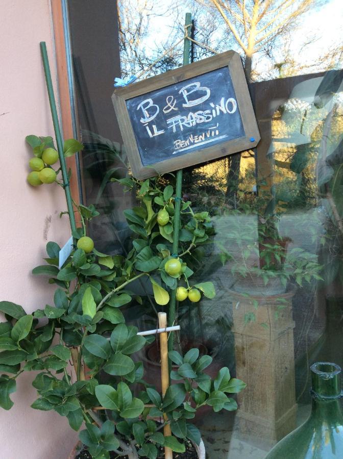 B&B Il Frassino Perugia Bagian luar foto